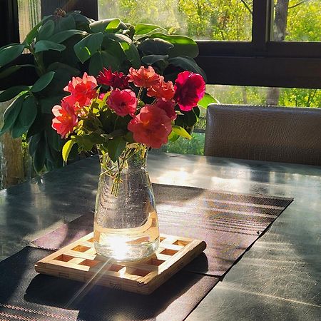 Najima B&B Cát An Ngoại thất bức ảnh