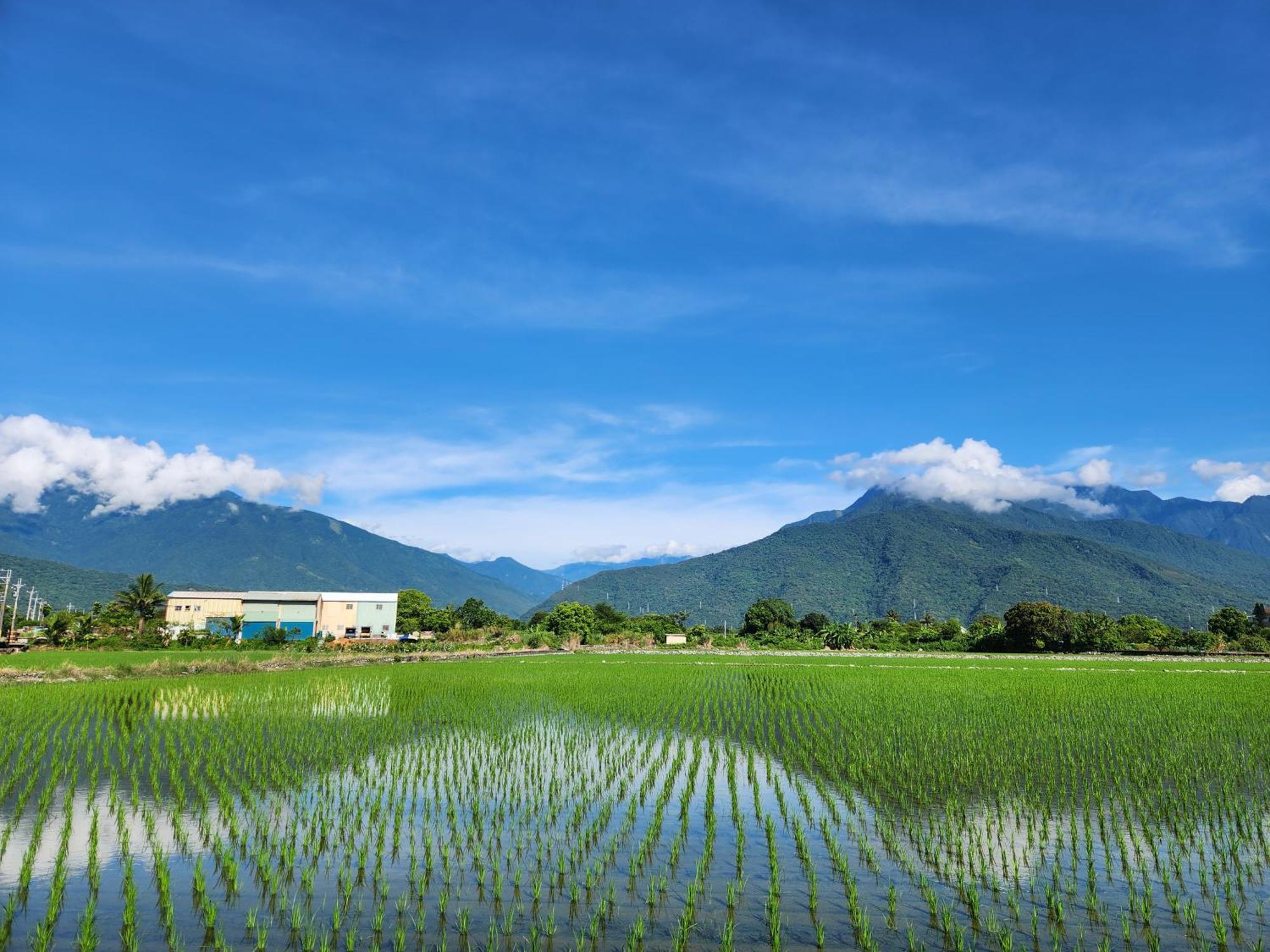 Najima B&B Cát An Ngoại thất bức ảnh