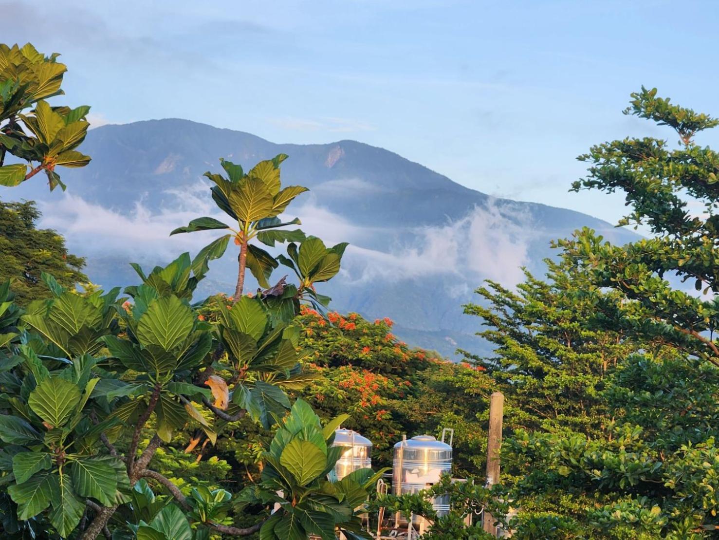 Najima B&B Cát An Ngoại thất bức ảnh
